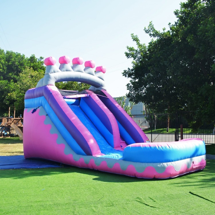 Pink Palace Waterslide