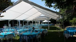 B705F599 7339 4CD6 A7D5 393583A0FB39 1758127847 CANOPY 20X30