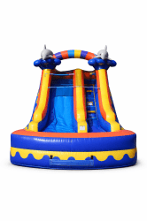 Dolphin slide