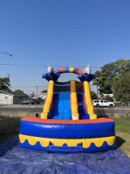 Image2044 1769899339 Dolphin slide